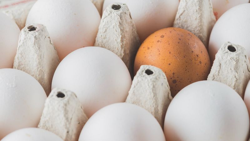 Comment utiliser les œufs périmés